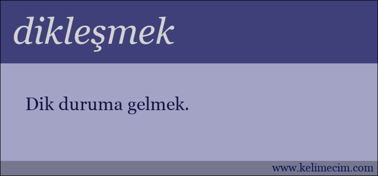 dikleşmek kelimesinin anlamı ne demek?