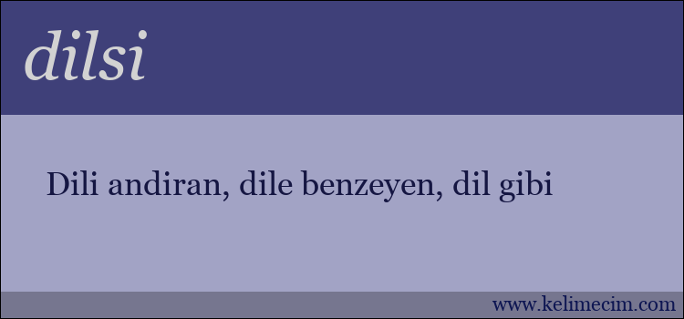 dilsi kelimesinin anlamı ne demek?