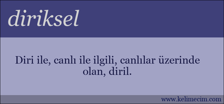 diriksel kelimesinin anlamı ne demek?