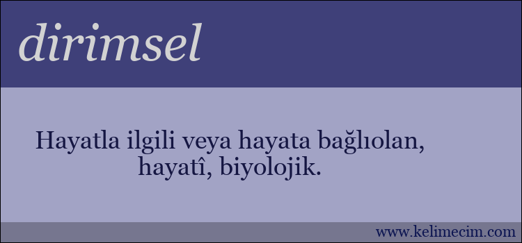 dirimsel kelimesinin anlamı ne demek?