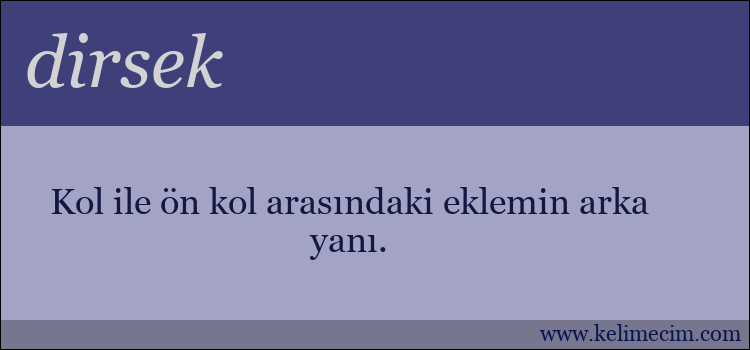 dirsek kelimesinin anlamı ne demek?