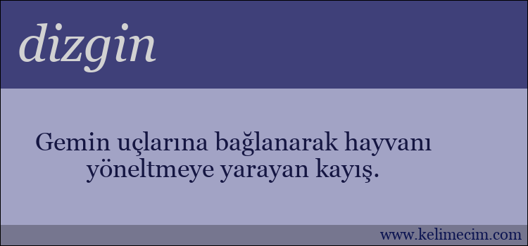 dizgin kelimesinin anlamı ne demek?