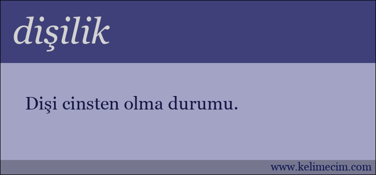 dişilik kelimesinin anlamı ne demek?