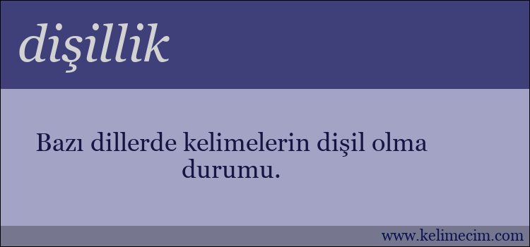 dişillik kelimesinin anlamı ne demek?