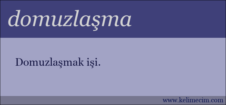 domuzlaşma kelimesinin anlamı ne demek?