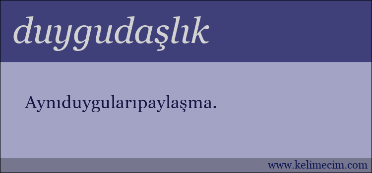 duygudaşlık kelimesinin anlamı ne demek?