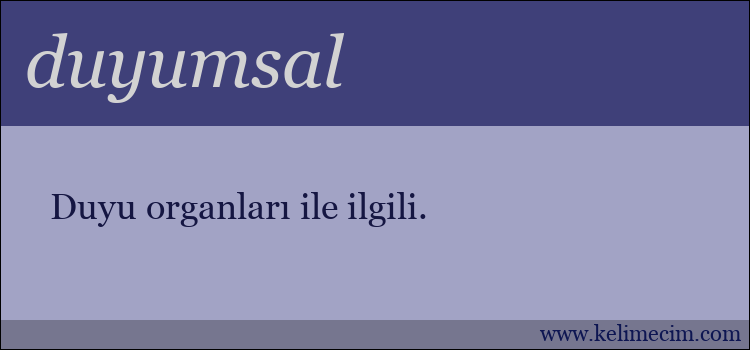 duyumsal kelimesinin anlamı ne demek?