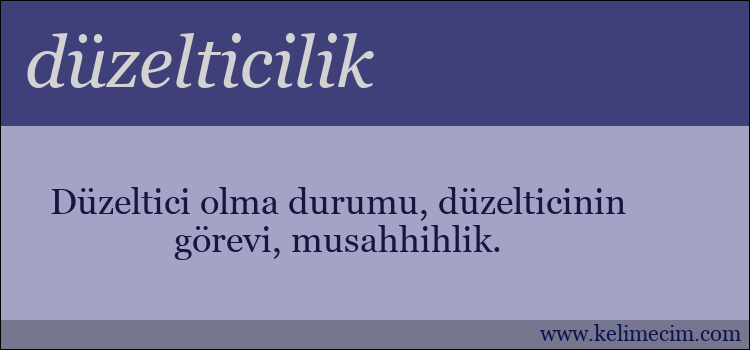 düzelticilik kelimesinin anlamı ne demek?