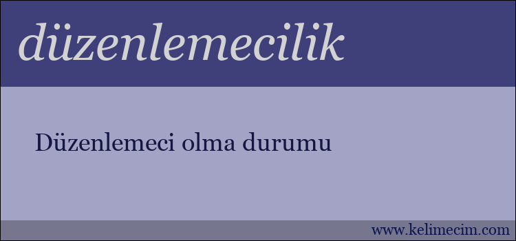 düzenlemecilik kelimesinin anlamı ne demek?