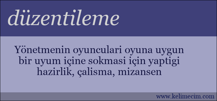 düzentileme kelimesinin anlamı ne demek?