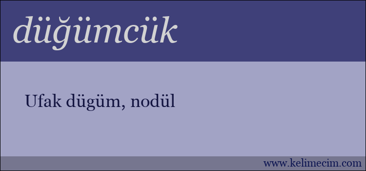 düğümcük kelimesinin anlamı ne demek?