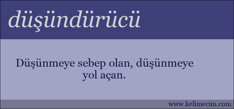 düşündürücü kelimesinin anlamı ne demek?