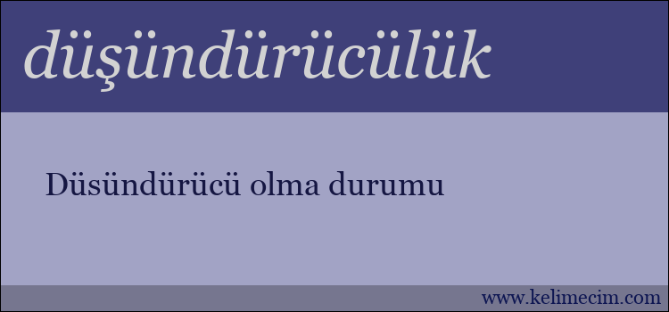 düşündürücülük kelimesinin anlamı ne demek?