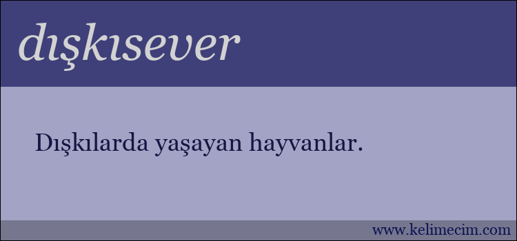 dışkısever kelimesinin anlamı ne demek?