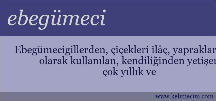 ebegümeci kelimesinin anlamı ne demek?