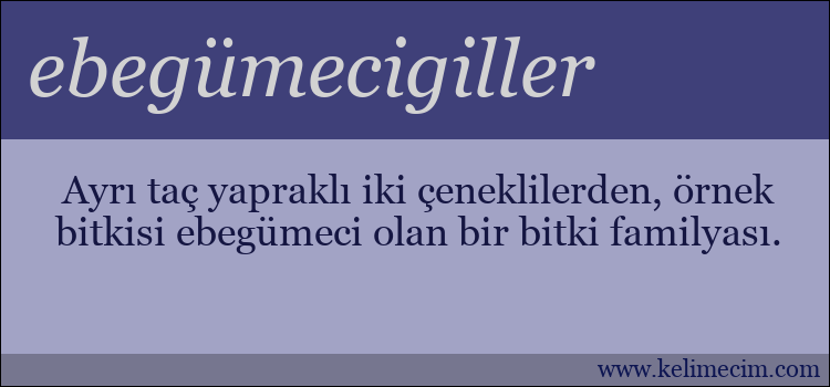 ebegümecigiller kelimesinin anlamı ne demek?