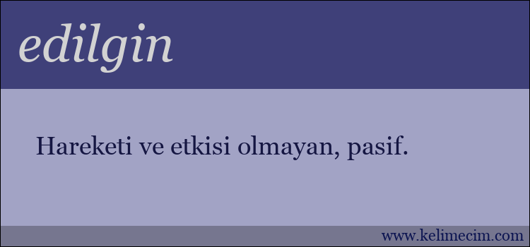 edilgin kelimesinin anlamı ne demek?