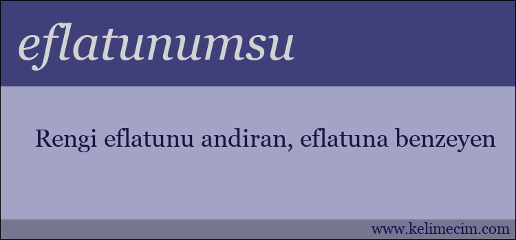 eflatunumsu kelimesinin anlamı ne demek?