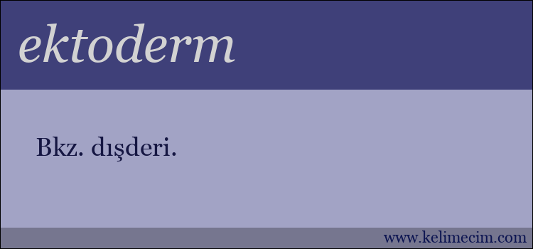 ektoderm kelimesinin anlamı ne demek?