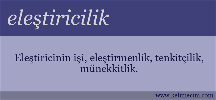 eleştiricilik kelimesinin anlamı ne demek?