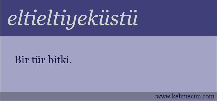 eltieltiyeküstü kelimesinin anlamı ne demek?