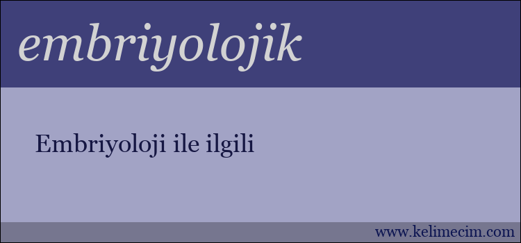 embriyolojik kelimesinin anlamı ne demek?