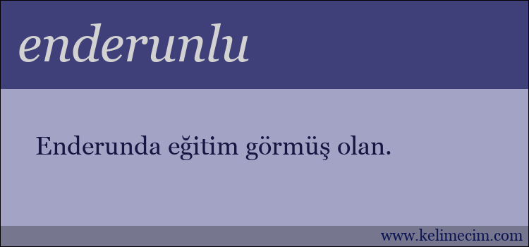 enderunlu kelimesinin anlamı ne demek?