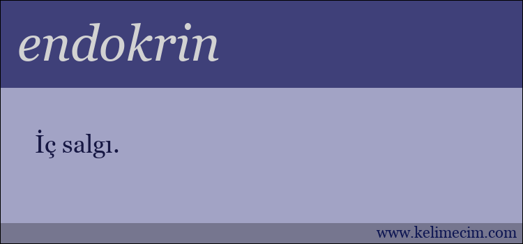 endokrin kelimesinin anlamı ne demek?