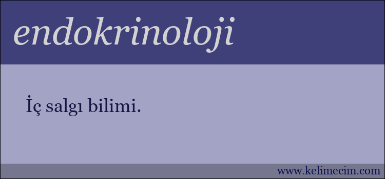 endokrinoloji kelimesinin anlamı ne demek?