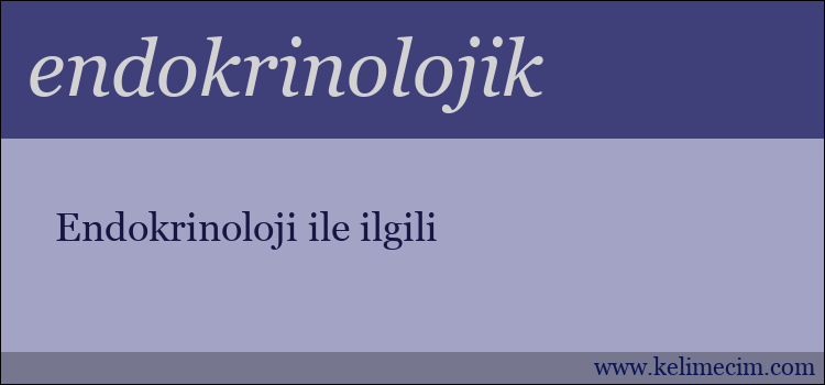 endokrinolojik kelimesinin anlamı ne demek?