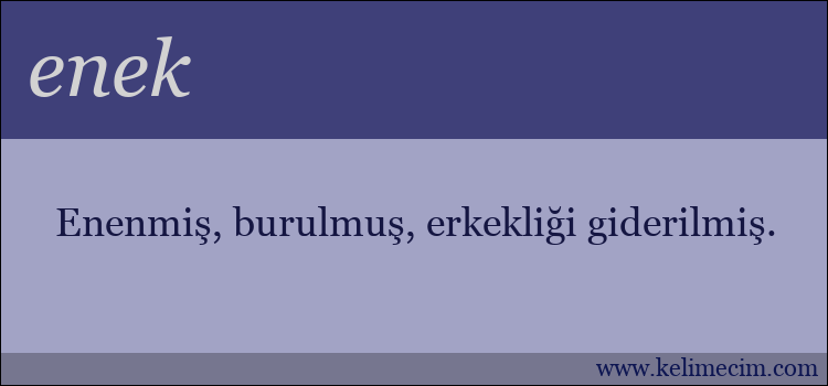 enek kelimesinin anlamı ne demek?