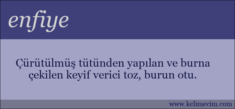 enfiye kelimesinin anlamı ne demek?