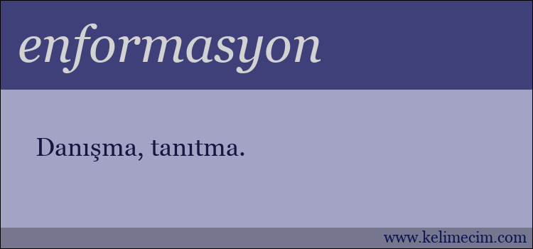 enformasyon kelimesinin anlamı ne demek?