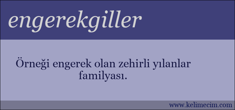 engerekgiller kelimesinin anlamı ne demek?