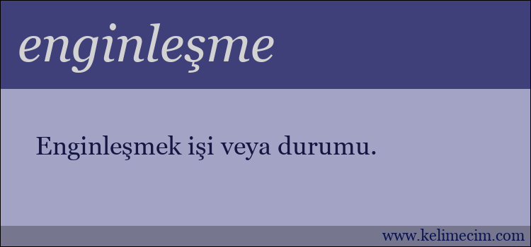 enginleşme kelimesinin anlamı ne demek?