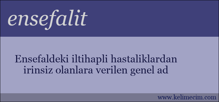 ensefalit kelimesinin anlamı ne demek?