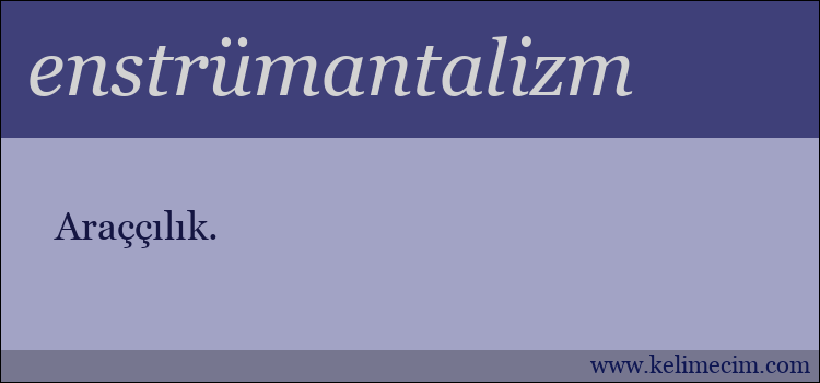 enstrümantalizm kelimesinin anlamı ne demek?