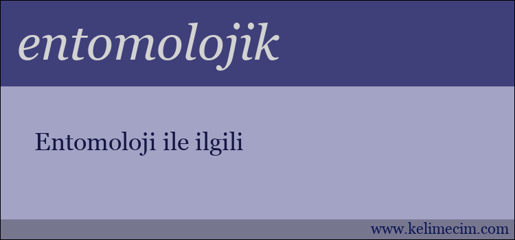 entomolojik kelimesinin anlamı ne demek?