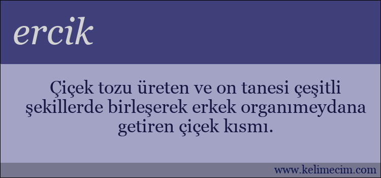 ercik kelimesinin anlamı ne demek?