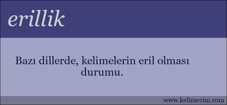 erillik kelimesinin anlamı ne demek?