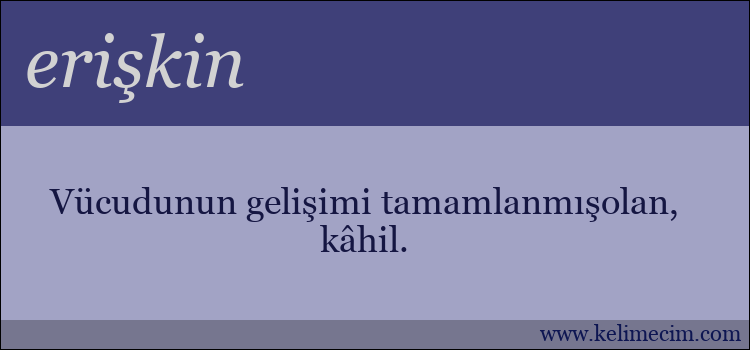 erişkin kelimesinin anlamı ne demek?