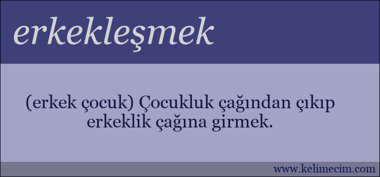 erkekleşmek kelimesinin anlamı ne demek?