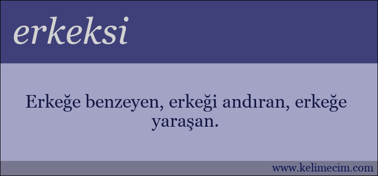 erkeksi kelimesinin anlamı ne demek?