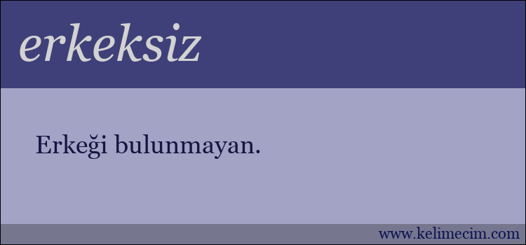 erkeksiz kelimesinin anlamı ne demek?