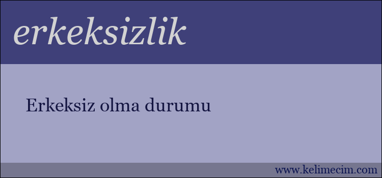 erkeksizlik kelimesinin anlamı ne demek?