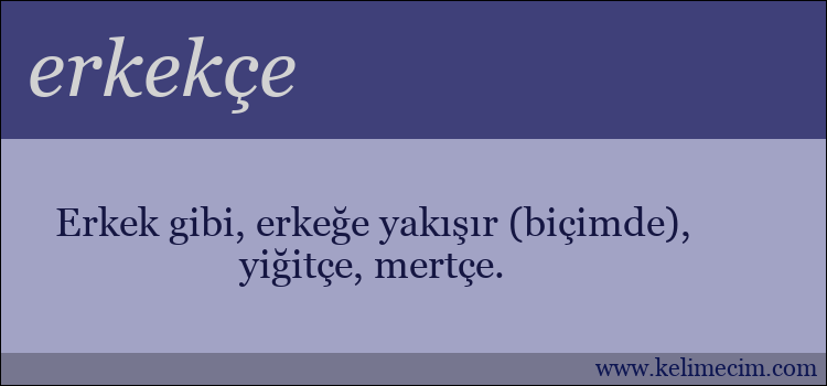 erkekçe kelimesinin anlamı ne demek?