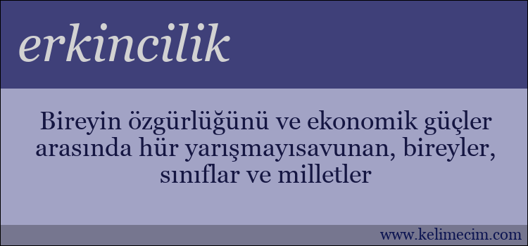 erkincilik kelimesinin anlamı ne demek?