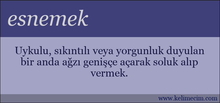 esnemek kelimesinin anlamı ne demek?