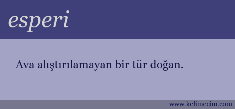 esperi kelimesinin anlamı ne demek?