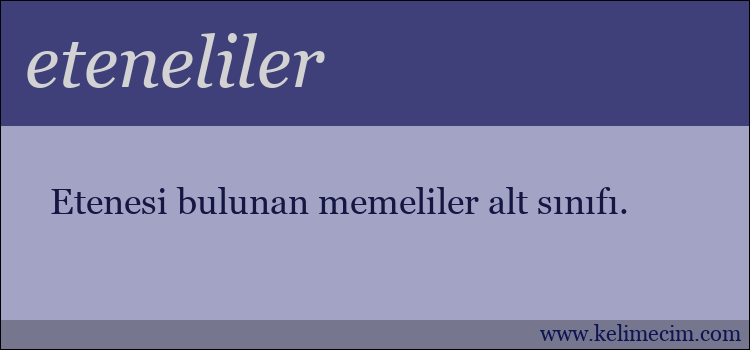 eteneliler kelimesinin anlamı ne demek?